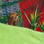 phoca_thumb_m_divadlo 35 Fotogalerie